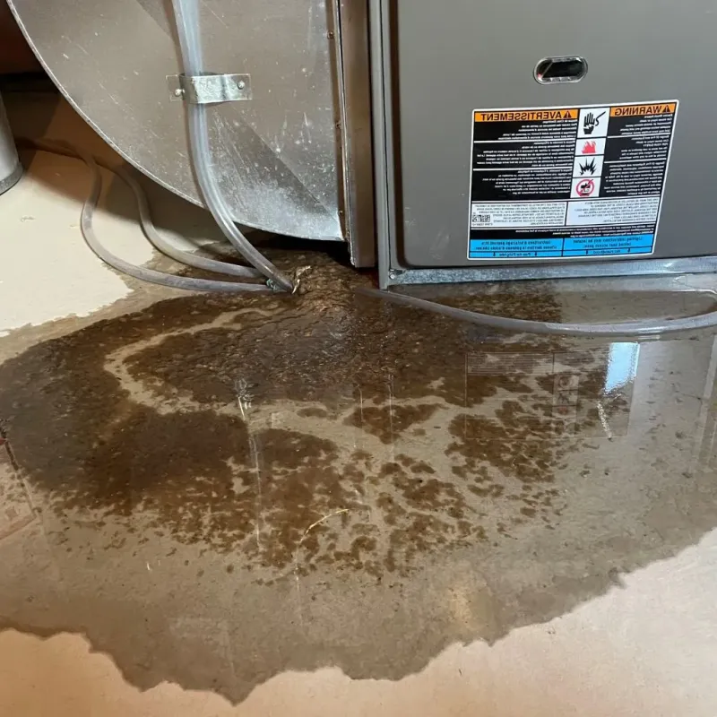 Pipe Burst and Leak Restoration in Sullivan County, MO